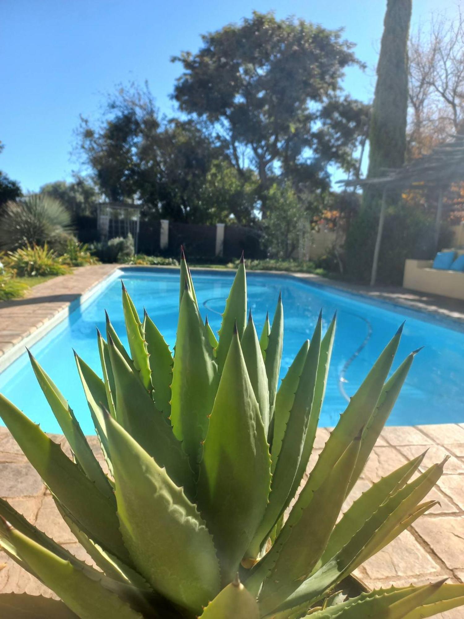 Libby'S Lodge Upington Esterno foto